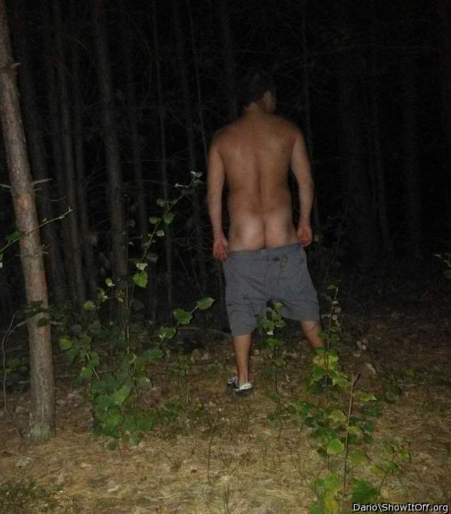 Im Wald spazieren gegangen