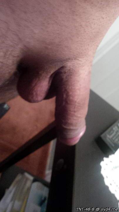 Adult image from TNT-48-8