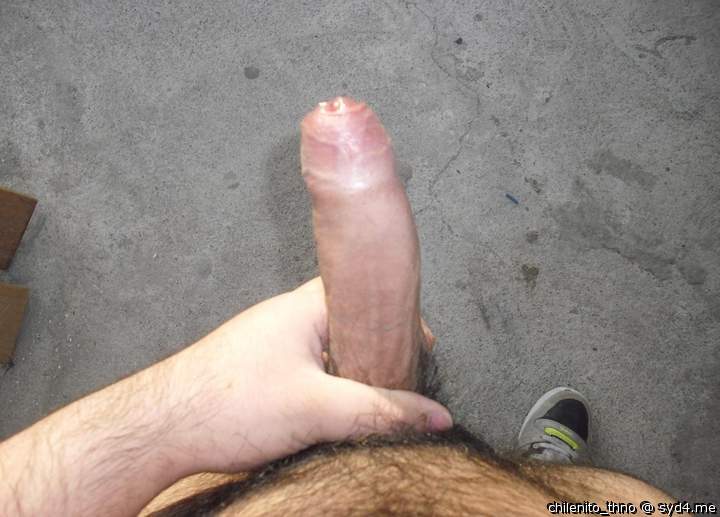Adult image from chilenito_thno