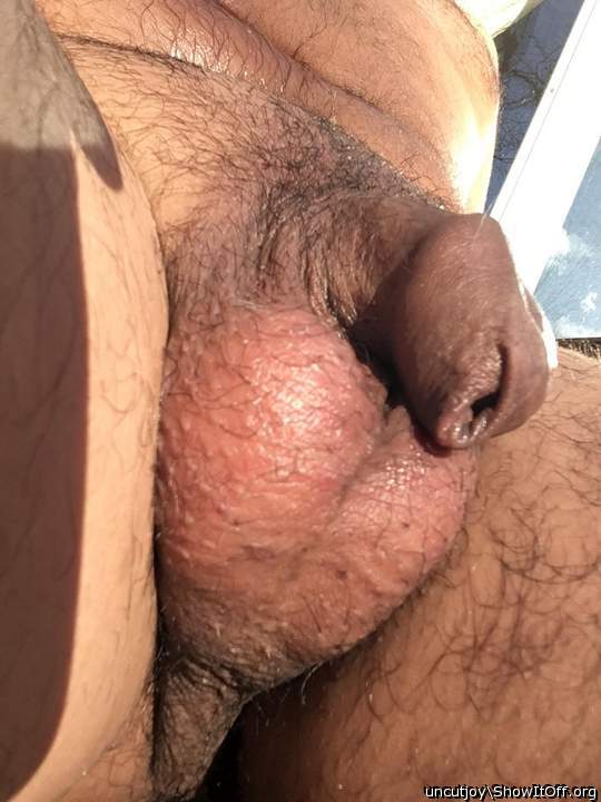 Adult image from uncutjoy