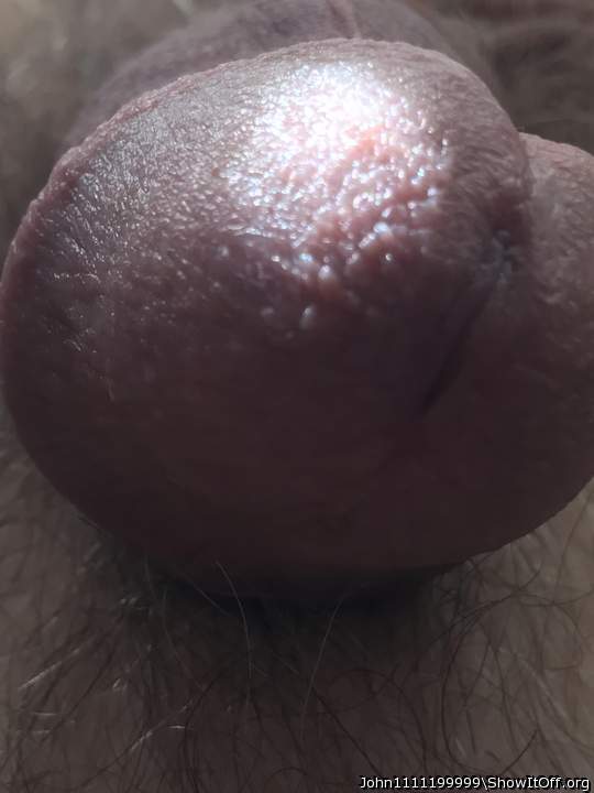Adult image from John1111199999
