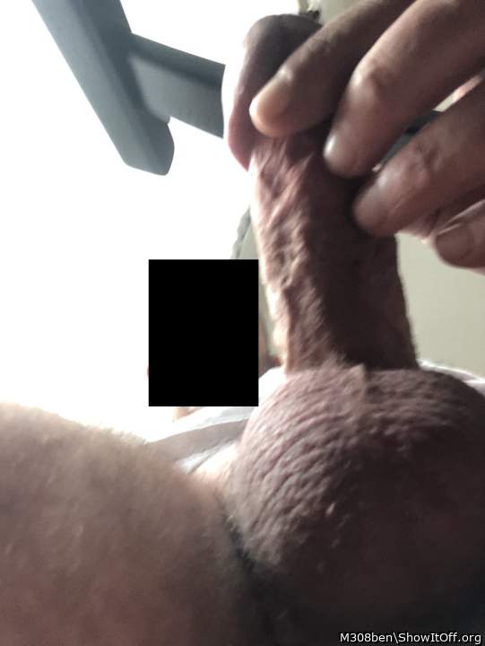 Adult image from M308ben