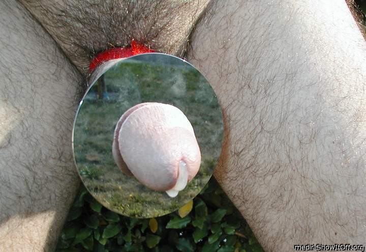Adult image from medir