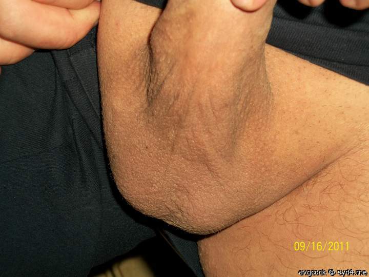 Adult image from avgcock