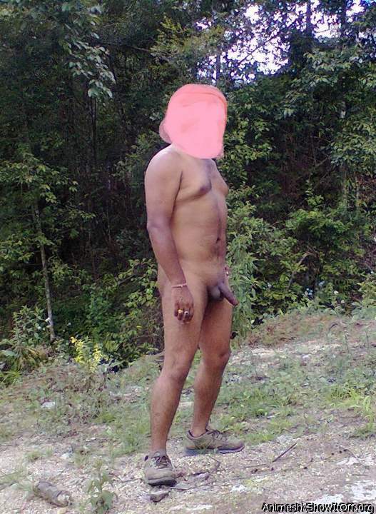 Adult image from Animesh