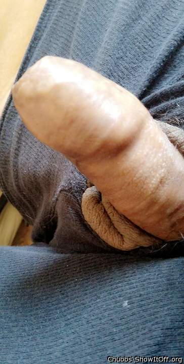 Adult image from Chubbs