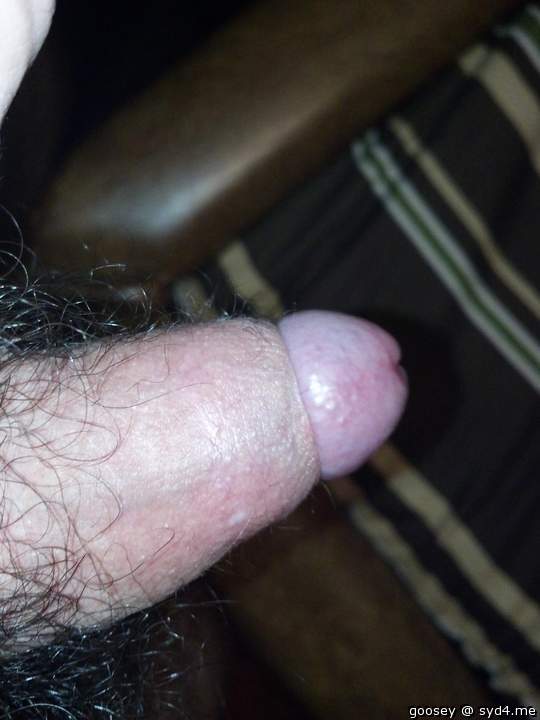 Adult image from Goosey