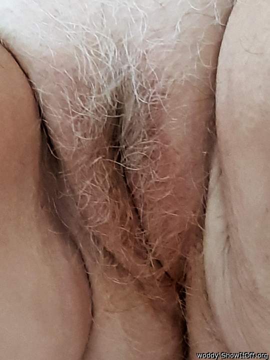 Sweet looking tasty hairy pussy 