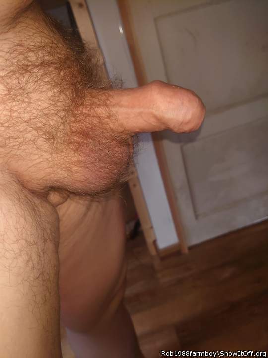 Adult image from Rob1988farmboy