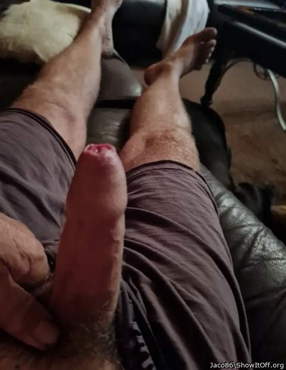 Adult image from Jaco86