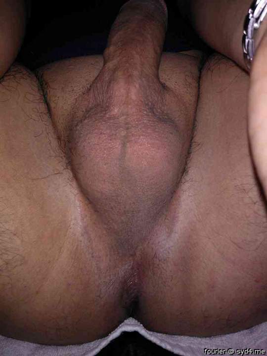 Adult image from fourier