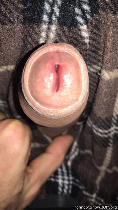 Adult image from johndo