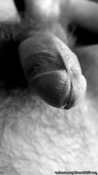 Adult image from calientearg