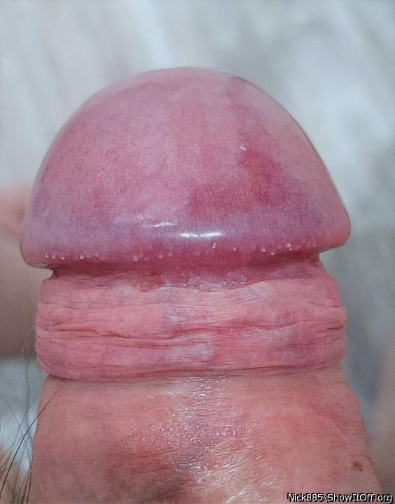 Adult image from Nick885