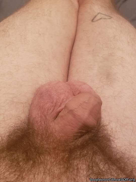 Adult image from booplesnoot