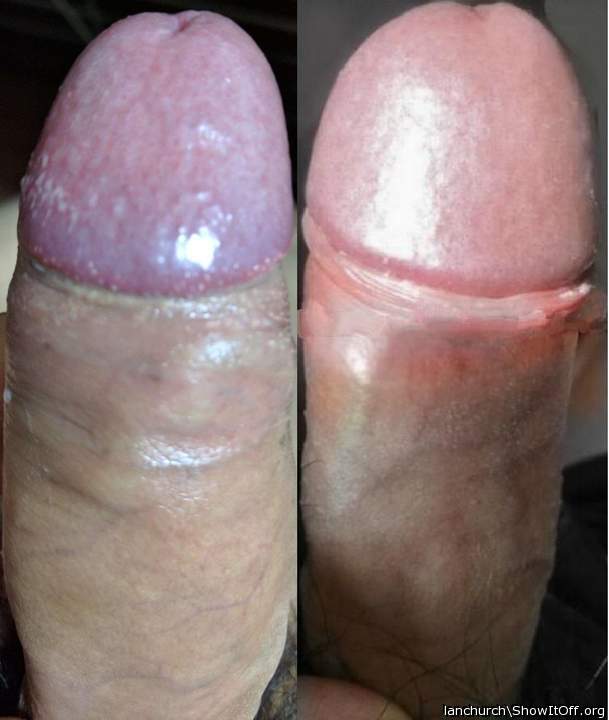 Rival cocks, who wins?