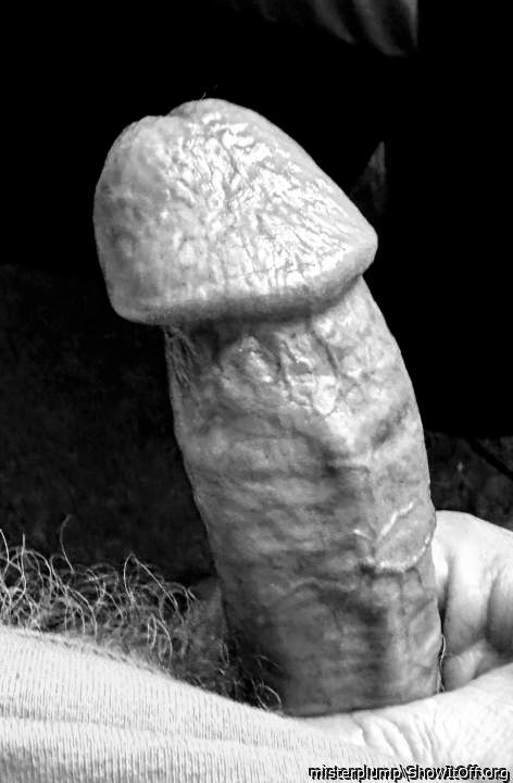Adult image from misterplump