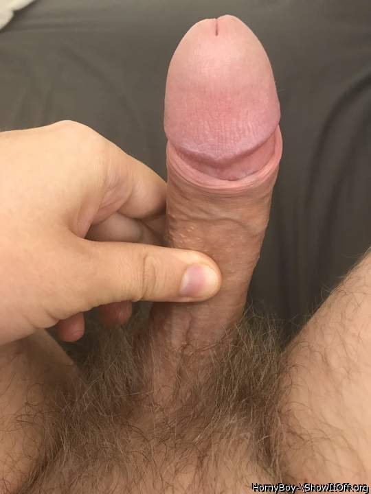 Adult image from HornyBoy-