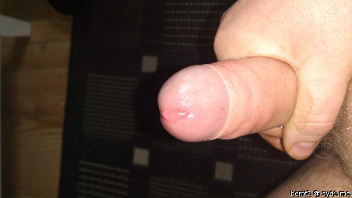 Adult image from Bernt2