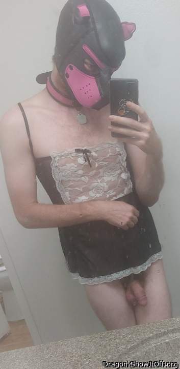 Puppy maid