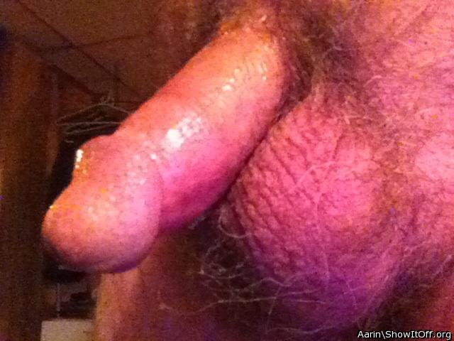 Adult image from Arinn