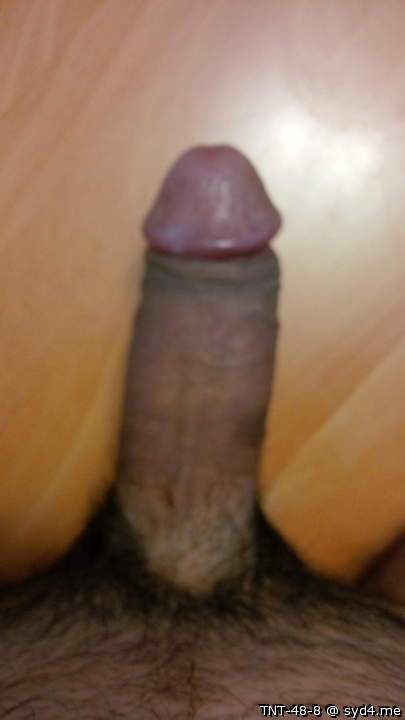 Adult image from TNT-48-8