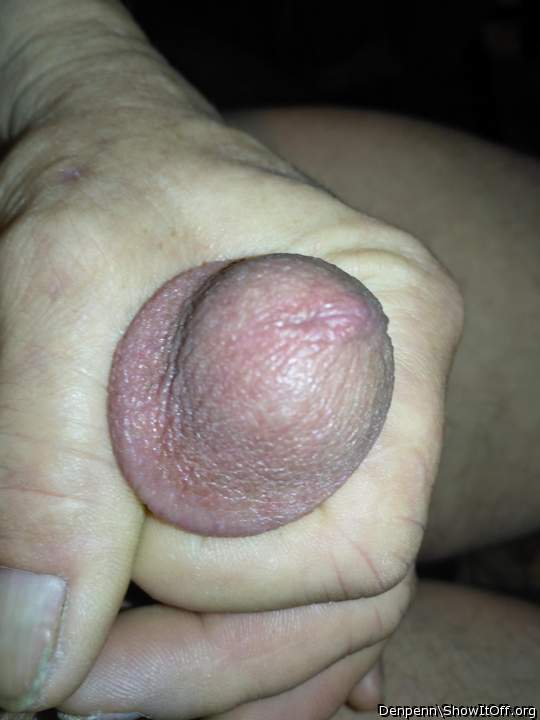 Adult image from Denpenn