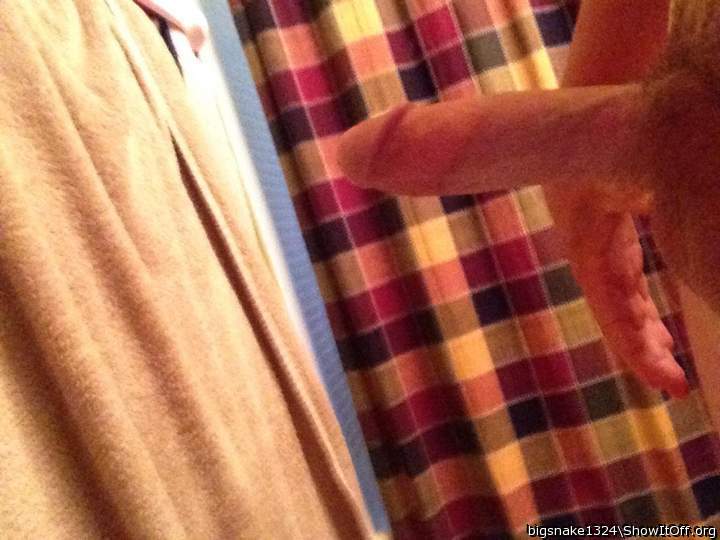 Adult image from Bigsnake1324