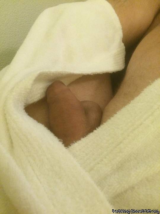 Adult image from RedWing