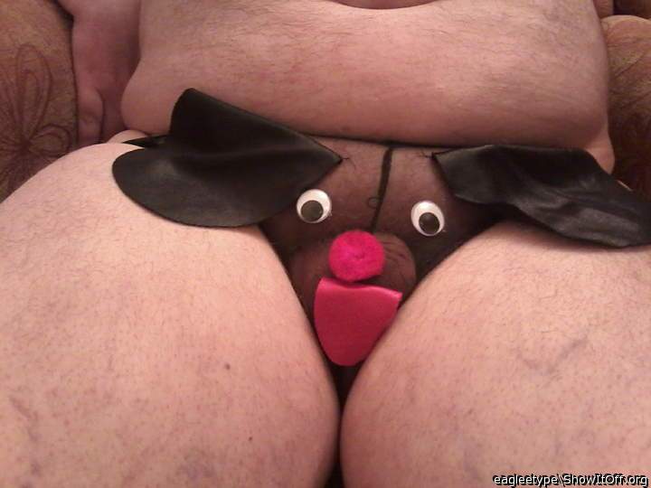 Adult image from eagleetype