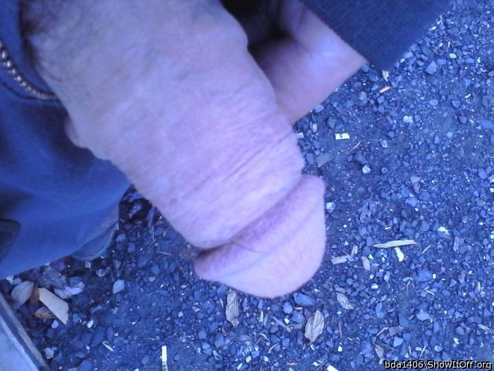 Adult image from bda1406