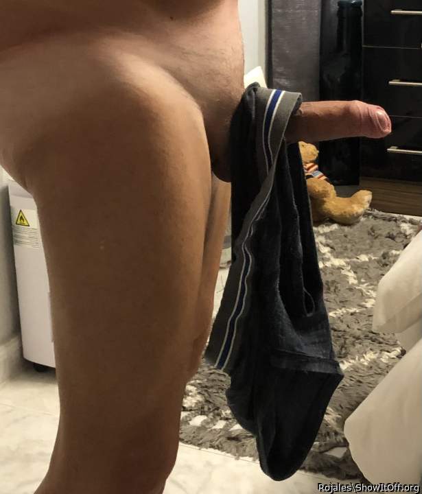Adult image from Rojales
