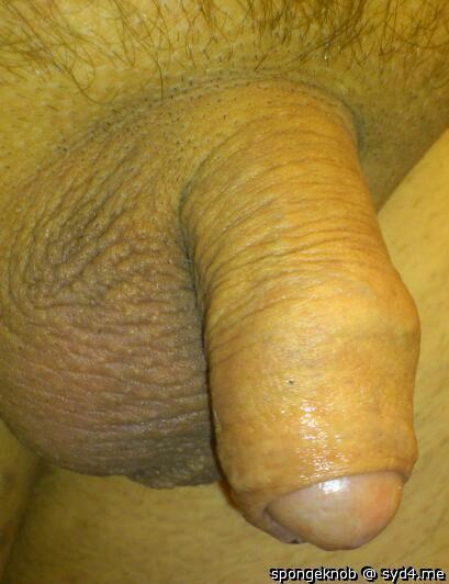 Adult image from spongeknob