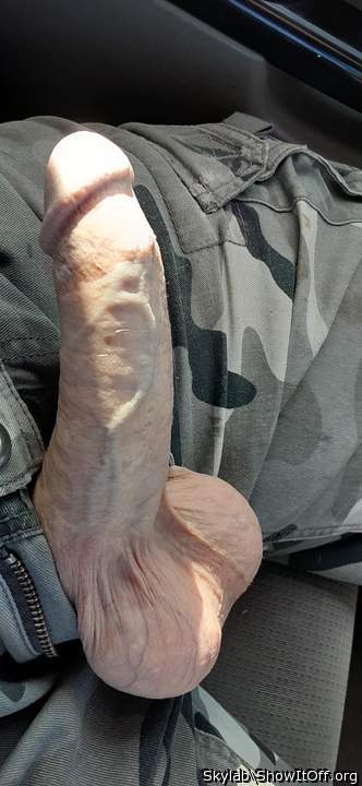 Adult image from Skylab