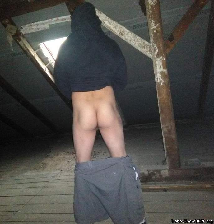 Adult image from Dario