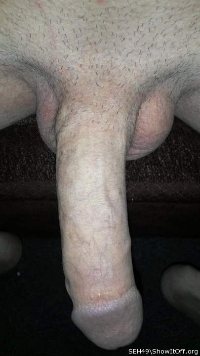 Adult image from SEH49