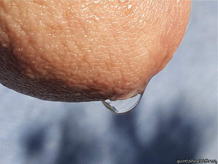 Adult image from quint