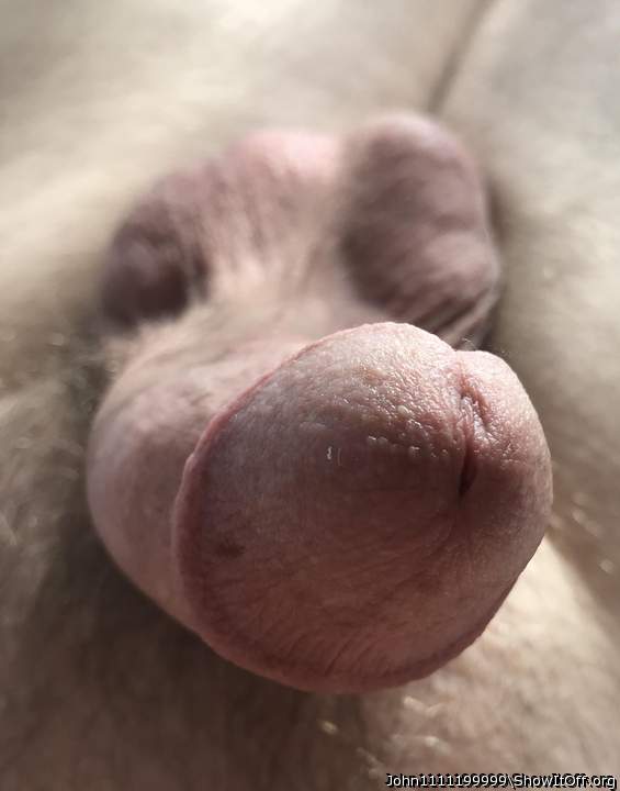 Adult image from John1111199999