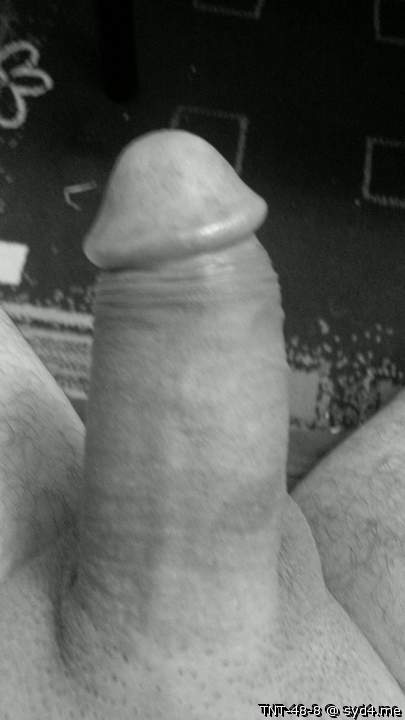 Adult image from TNT-48-8
