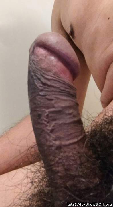 Adult image from tatz1745