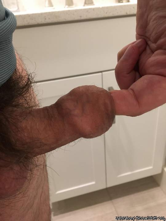 Adult image from zebraboy