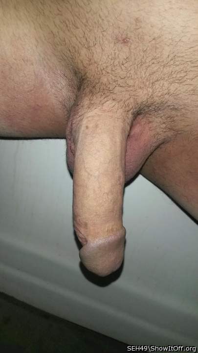 Adult image from SEH49