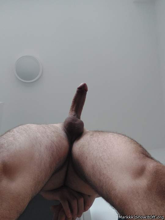 Wow,i can see the Monkey