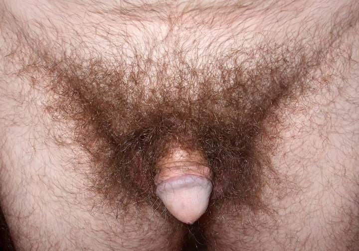 Adult image from billycat