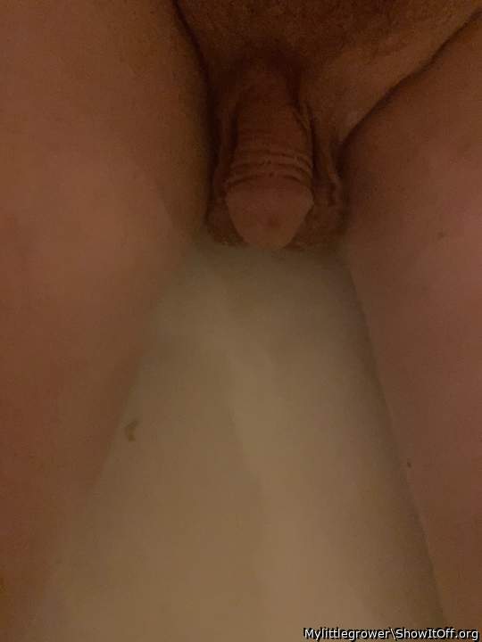 Adult image from Mylittlegrower