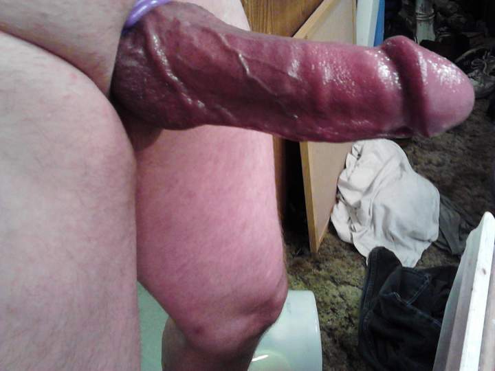 Adult image from fish4free