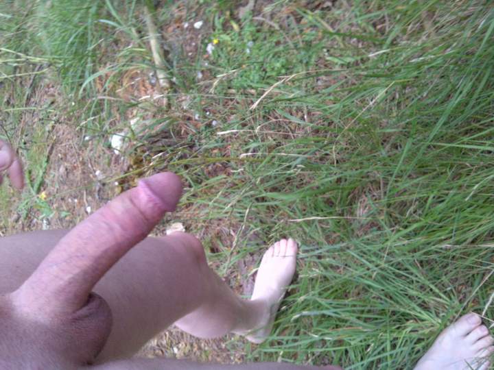 Adult image from protwin