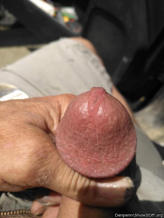 Adult image from Denpenn