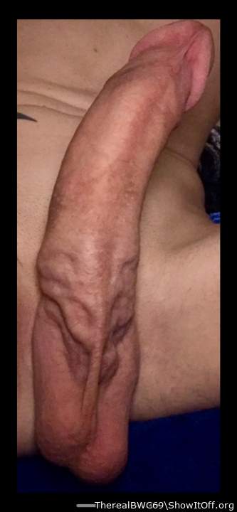 Adult image from TherealBWC69