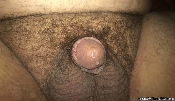 Adult image from chub39